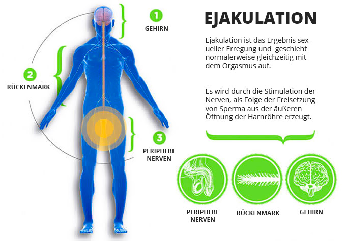 Vorzeitiger Samenerguss: Ursachen und Behandlung